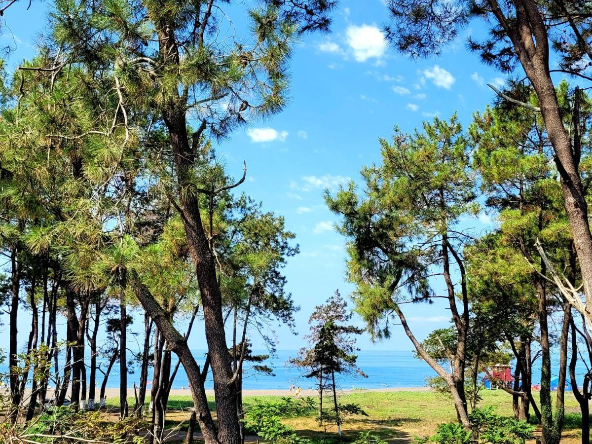 Beachfront Apartments ,,Kapro-One,, Ureki Luaran gambar